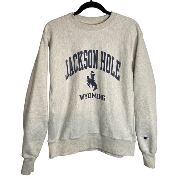 Champion Other - Champion Jackson Hole Reverse Weave Sweatshirt Med Pullover Crew Neck Retro Ski